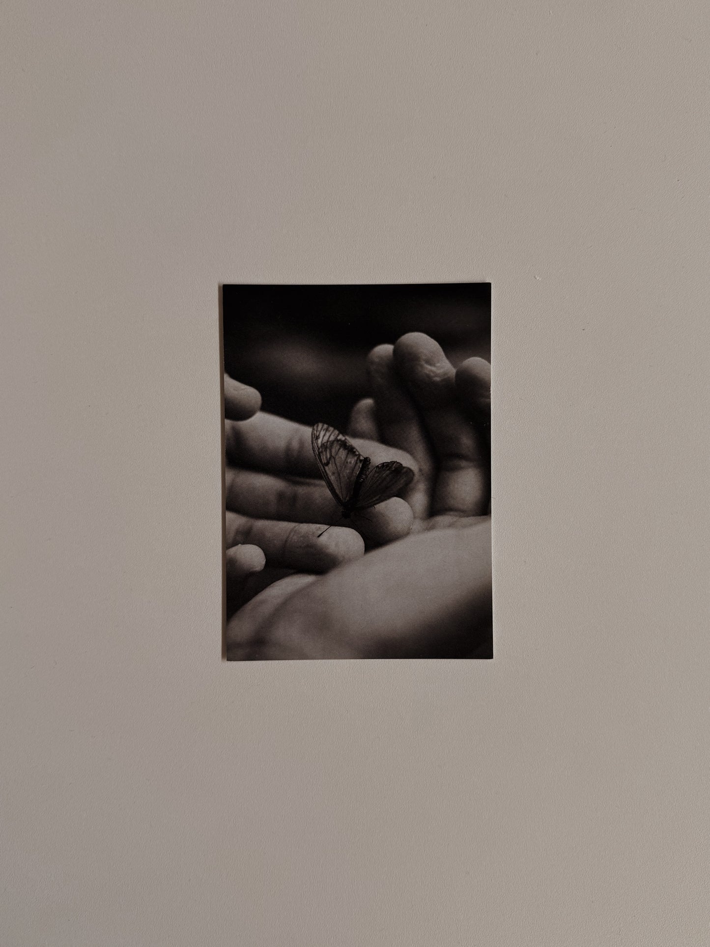 secure a6 print