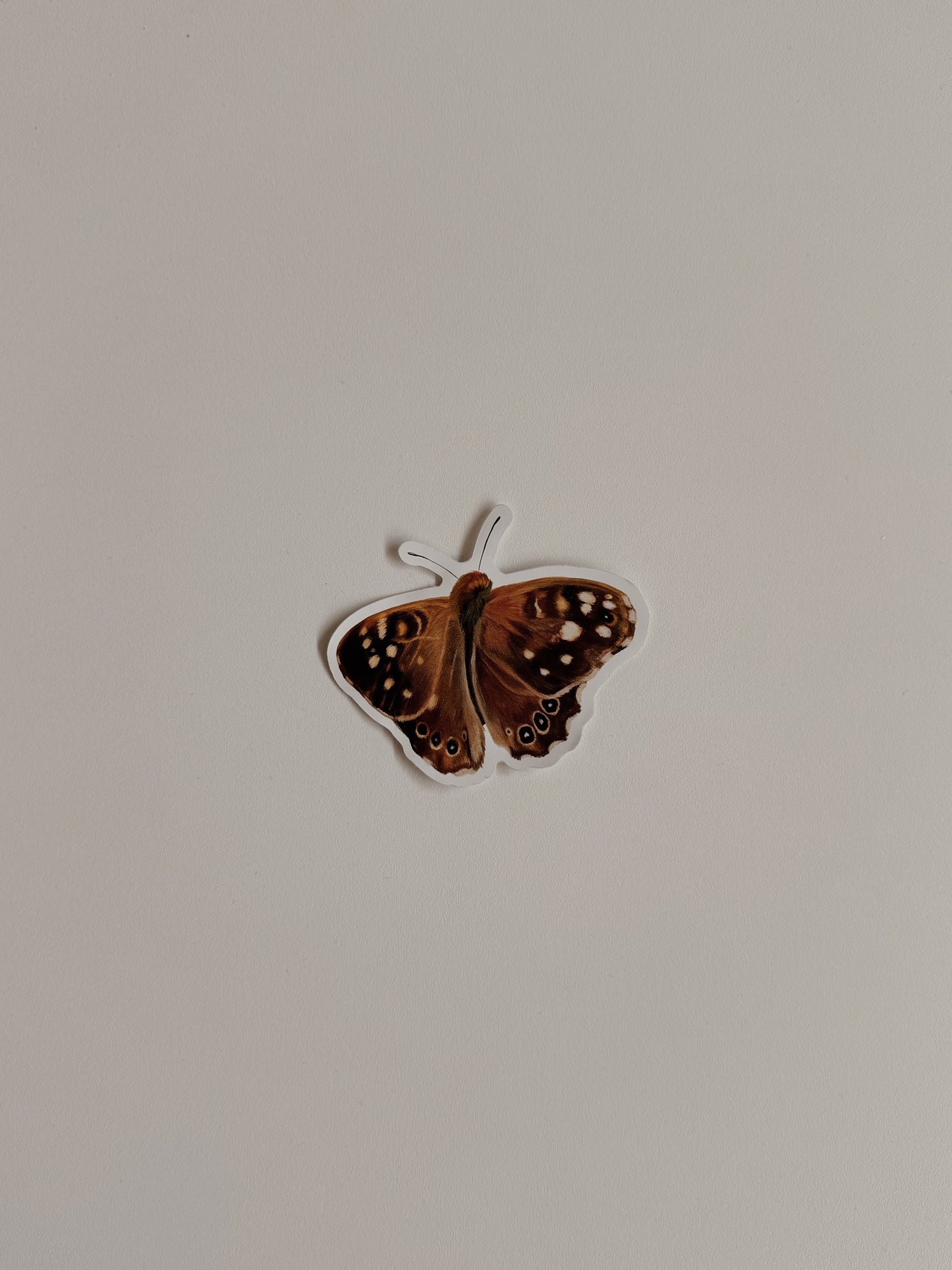 moth sticker