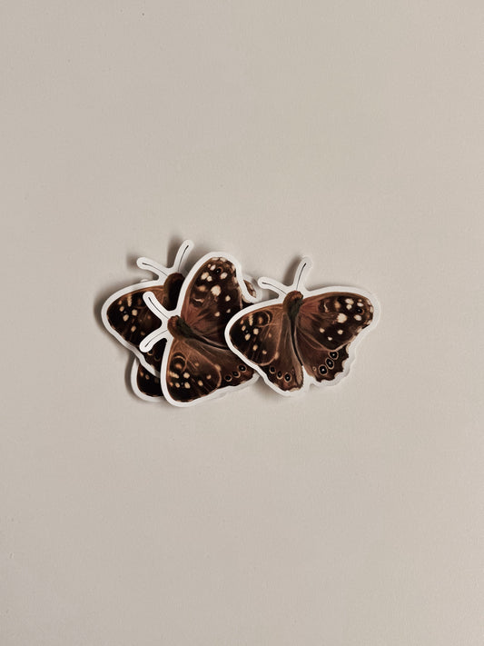 moth sticker