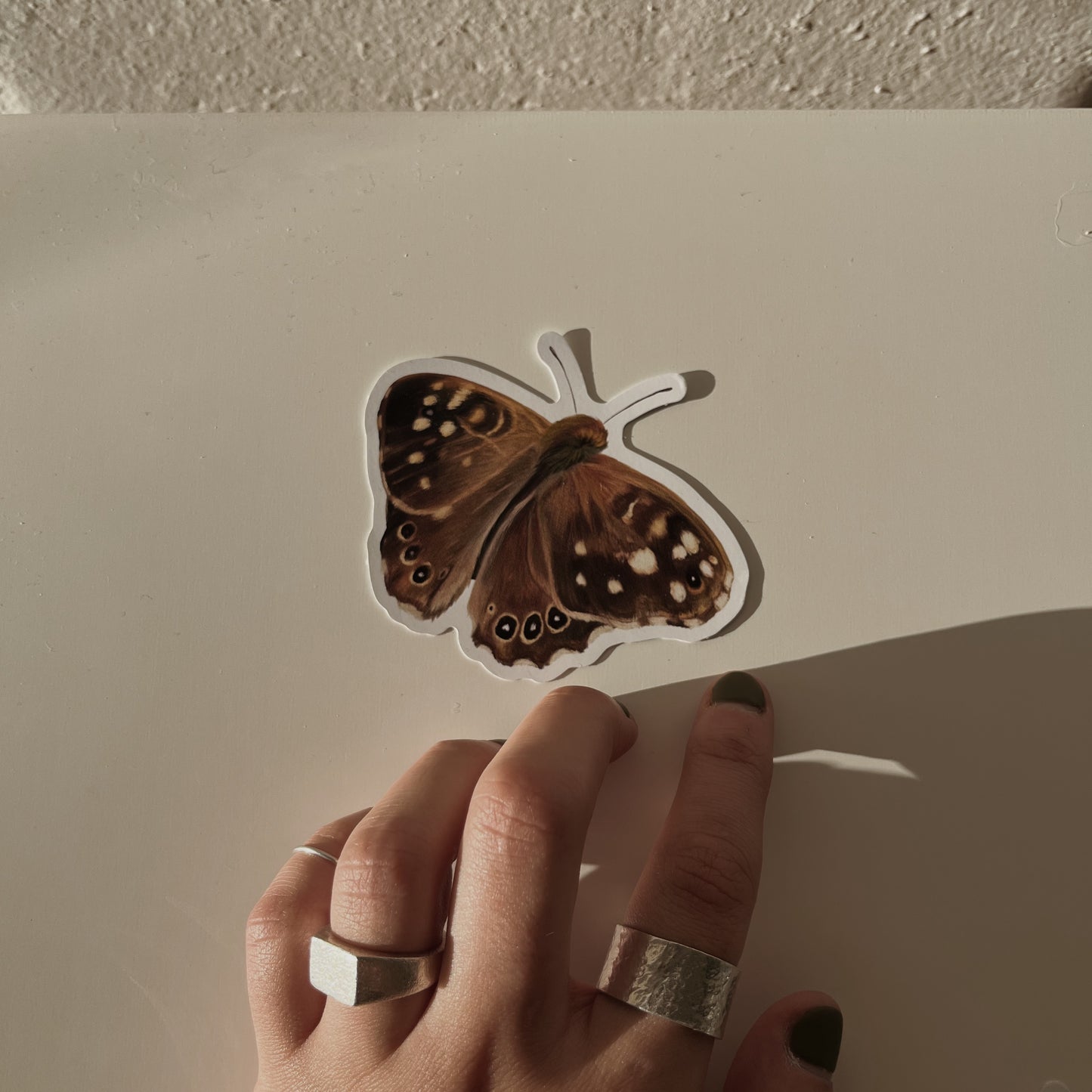 moth sticker